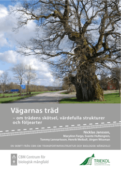 Vägarnas träd – om trädens skötsel, värdefulla strukturer och