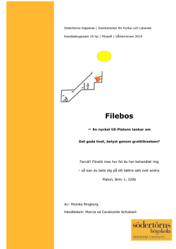 Filebos - DiVA Portal