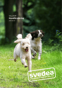Fullständiga villkor hundförsäkring