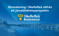 Storsatsning i Skellefteå utifrån ett jämställdhetsperspektiv
