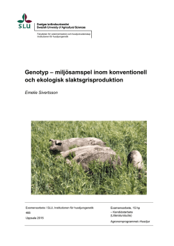 Genotyp – miljösamspel inom konventionell och ekologisk