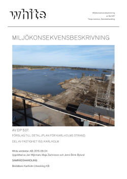 Miljökonsekvensbeskrivning