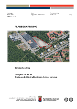 10. Detaljplan Djurängen