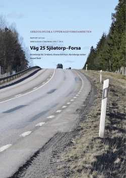 Rapport 2015:65 Väg 25 Sjöatorp-Forsa