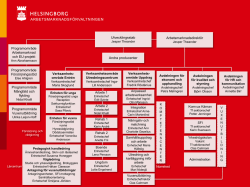 Organisationsschema arbetsmarknadsförvaltningen (pdf 304 kB)