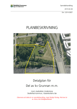 Planbeskrivning - Skellefteå kommun
