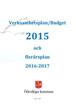 Verksamhetsplan 2015-2017 kommunövergripande