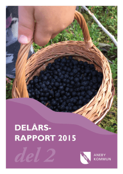 Delårsrapport 2015 del 2
