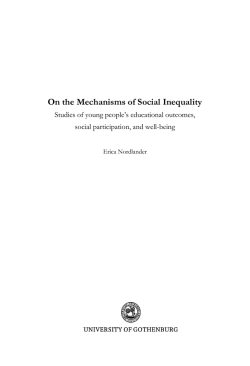 On the Mechanisms of Social Inequality