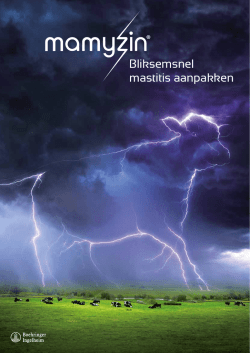 Mamyzin - Boehringer Ingelheim