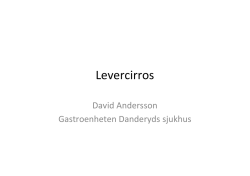 Levercirros - D Andersson ht14 - Ping-Pong