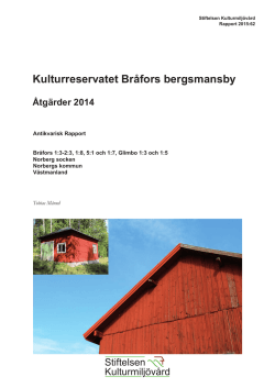 Stiftelsen Kulturmiljövård Rapport 2015: 62