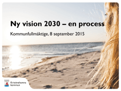 Ny vision 2030 – en process