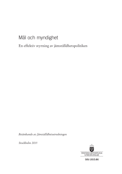 M&aring;l och myndighet, En effektiv styrning av