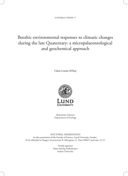 Benthic environmental responses to climatic changes during