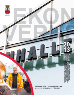 Ekonomi- och vErksamhEtspLan 2013-2015 mEd