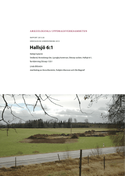 Rapport 2015:38. Arkeologisk undersökning 2012. Hallsjö 6
