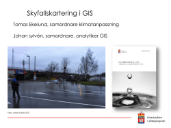 GIS-metod för skyfallskartering