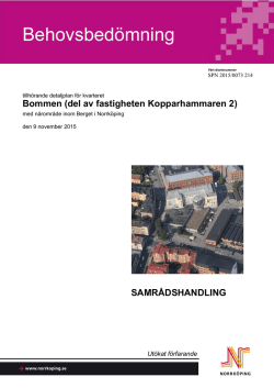 Behovsbedömning (pdf, 388.2KB, 10 nov 2015)