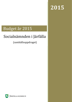 04.2 Budget för Socialnämnden 2015