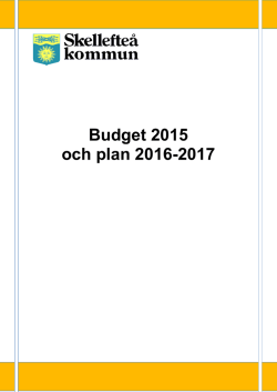 Budget 2015 och plan 2016-2017