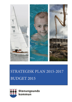 Läs budget 2015