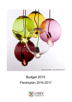 Budget och flerårsplan 2015