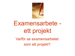 Examensarbete – ett projekt