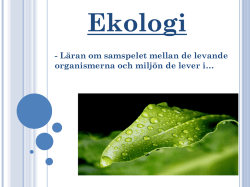 Ekologi – Ekologiska grundbegrepp