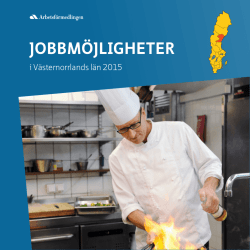 Jobbmöjligheter i Västernorrlands län 2015