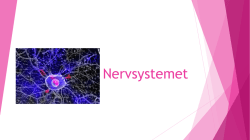Nervsystemet (1)