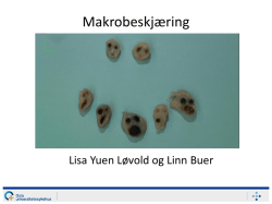 Makro_Løvold og Buer - Histoteknikerforeningen