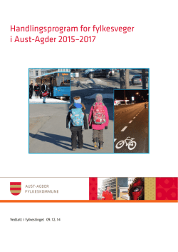 Handlingsprogram for fylkesveger i Aust