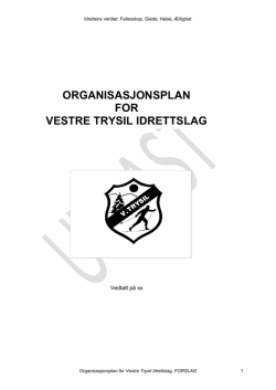 ORGANISASJONSPLAN FOR VESTRE TRYSIL IDRETTSLAG