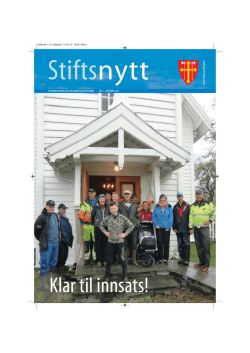 Stiftsnytt 15 - Den norske kirke