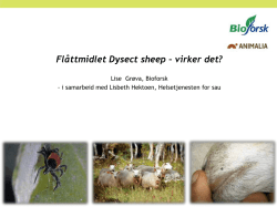 Flåttmidlet Dysect sheep – virker det?