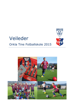 Orkla Tine Fotballskole, Veileder 2015