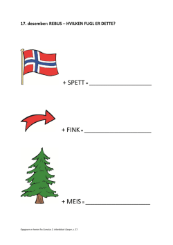 17. desember: REBUS – HVILKEN FUGL ER DETTE