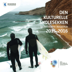 Dks-katalogen 2015/2016 - Buskerud