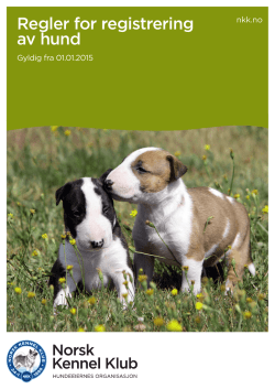 Regler for registrering av hund