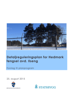 Detaljreguleringsplan for Hedmark fengsel avd