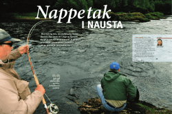 Med 6100 kg laks, var smålakselva Nausta fjorårets klart beste elv i