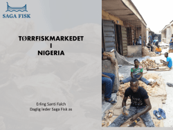 Tørrfiskmarkedet i Nigeria fra bedrifters perspektiv Erling Falch