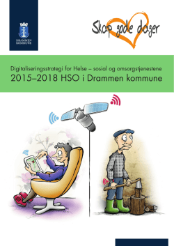 2015–2018 HSO i Drammen kommune