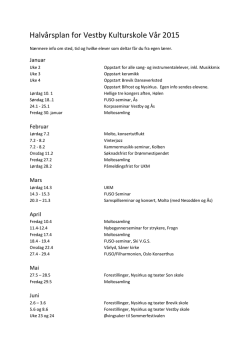 Kulturskolens halvårsplan våren 2015