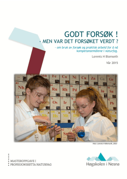 Godt FORS&Oslash;K, - men var det fors&oslash;ket verdt