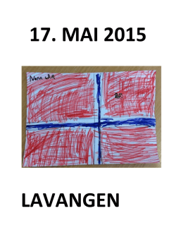 Program for dagen - Lavangen Kommune