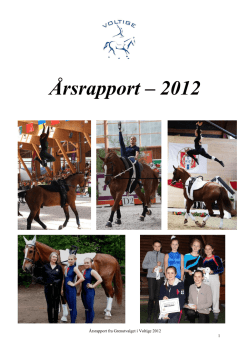 Årsrapport – 2012