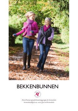 Bekkenbunn - Norsk Fysioterapeutforbund