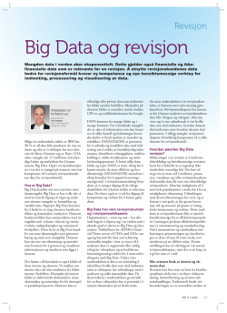 Big Data og revisjon